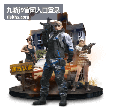 九游j9官网入口登录页面加载缓慢与缓存清理画面