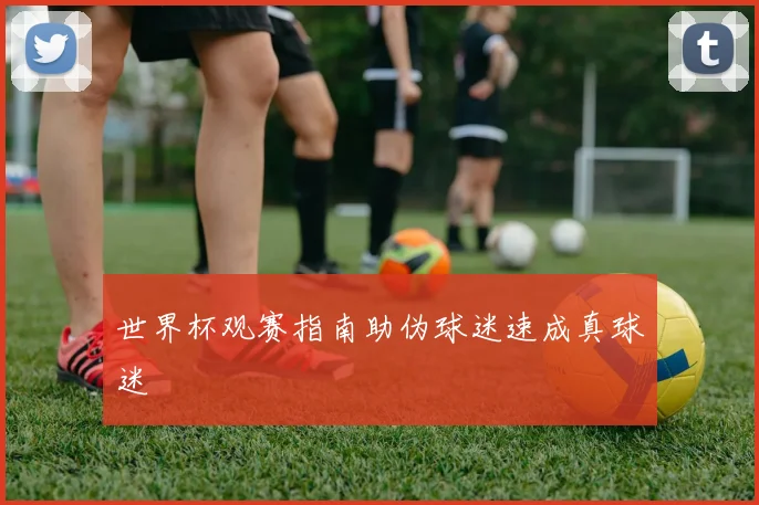 世界杯观赛指南助伪球迷速成真球迷