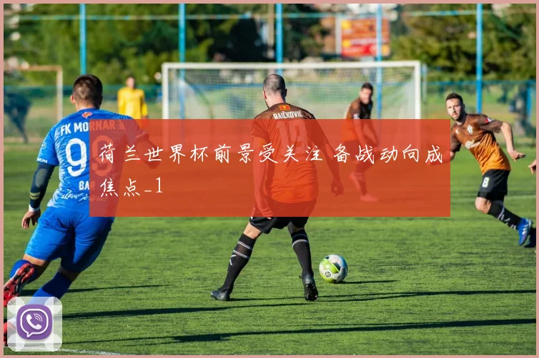 荷兰世界杯前景受关注 备战动向成焦点_1
