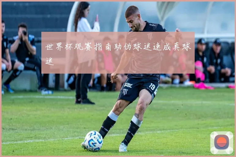 世界杯观赛指南助伪球迷速成真球迷