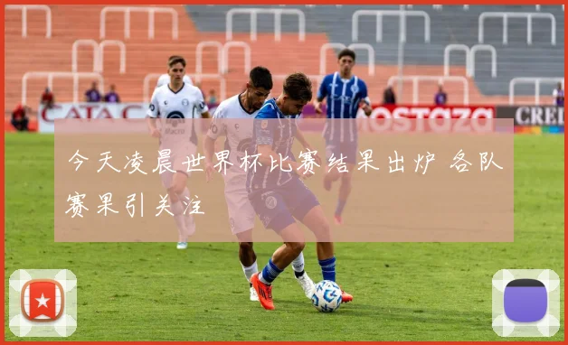今天凌晨世界杯比赛结果出炉 各队赛果引关注
