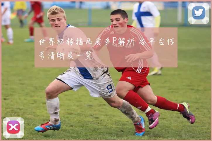 世界杯转播画质多P解析 各平台信号清晰度一览